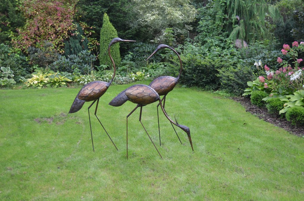 Paverpol: Maffe vogel